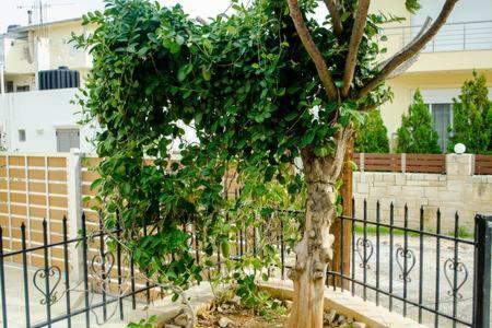 Sun By The Sea 2 Apartment Agia Pelagia Екстериор снимка